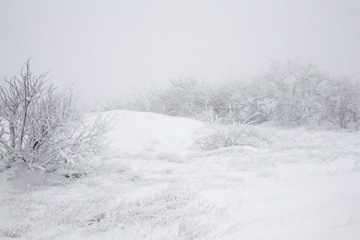 P_140_A6_50_08467